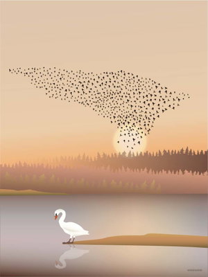 MURMURATION - plakat MURMURATION - plakat