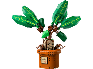 Mandrake