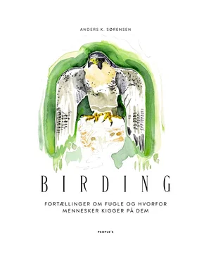BIRDING